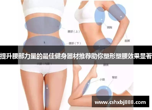 提升腰部力量的最佳健身器材推荐助你塑形塑腰效果显著