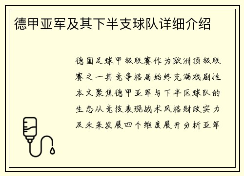 德甲亚军及其下半支球队详细介绍